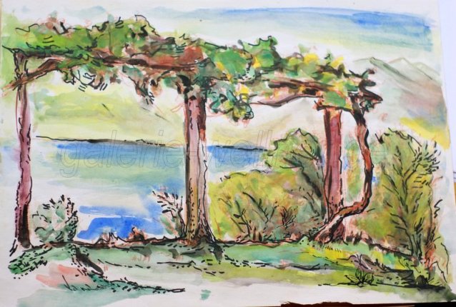 Gemälde Weinreben Meeresblick